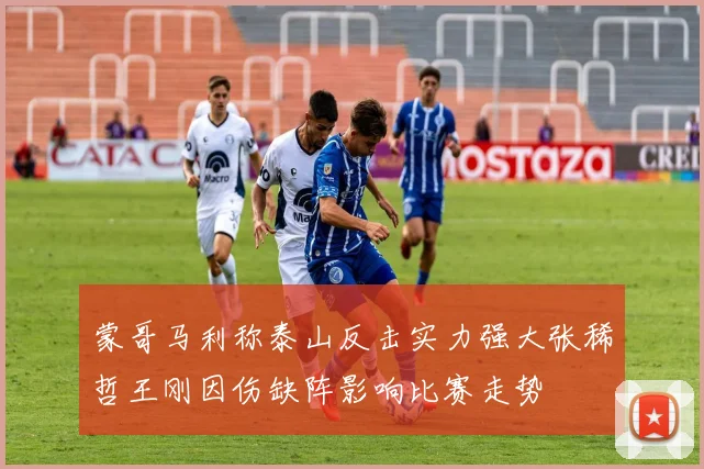 蒙哥马利称泰山反击实力强大张稀哲王刚因伤缺阵影响比赛走势